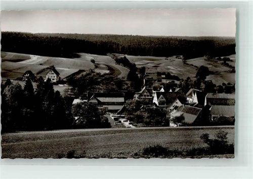 Untermusbach Vogelschau