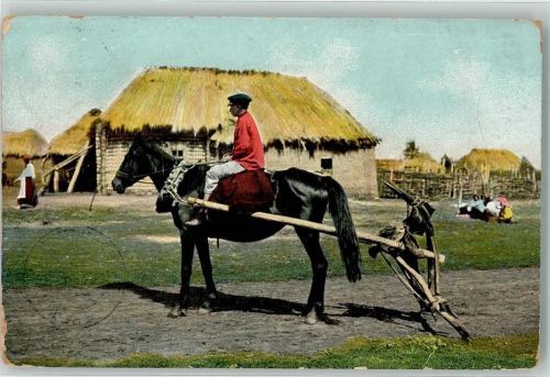 Pferd Mann Landwirtschaft Volkstyp