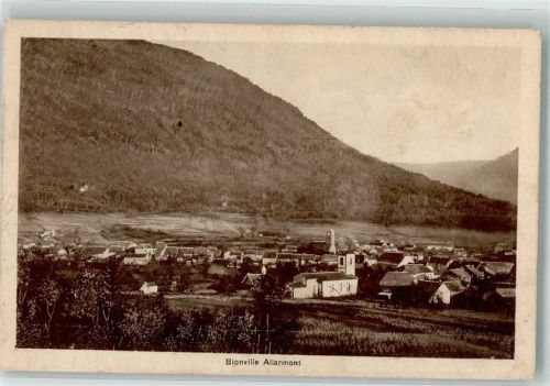 Allarmont 1916 Feldpost WK I Nr. 125