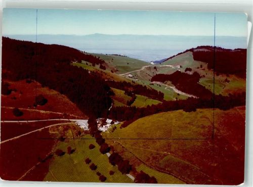 Münstertal Vogelschau Ort handschriftlich Foto Orginal aus Archiv eines Ansichtskartenverlags