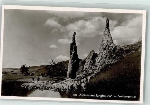 Herbrechtingen Schafherde Hirten Steinerne Jungfrauen Eselsburger Tal