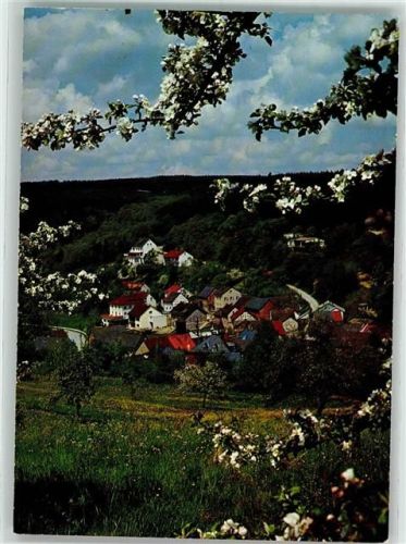 Ramschied Baumblüte Vogelschau