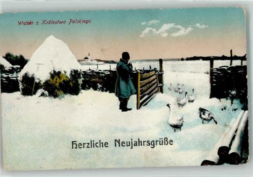 Neujahrsgrüße Bauer Gänse