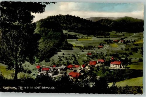 Neuenweg Vogelschau