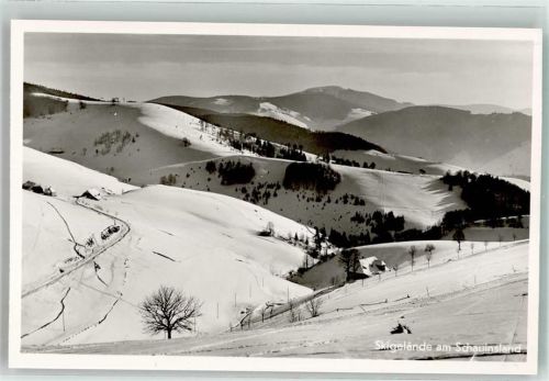Oberried Winter Hotel Burggraf Skigelände