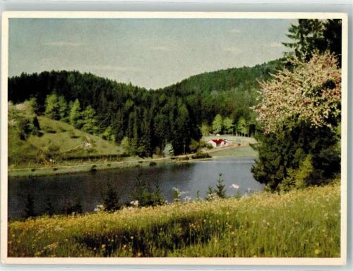 Fornsbach Waldsee