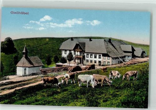 Giesshübel Weidende Rinder vor dem Gasthaus Pension am Schauinsland und der Kapelle
