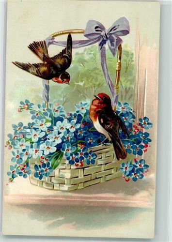 1910 Zwei Vögel sitzen auf einem Korb voller Vergissmeinnicht Lithographie