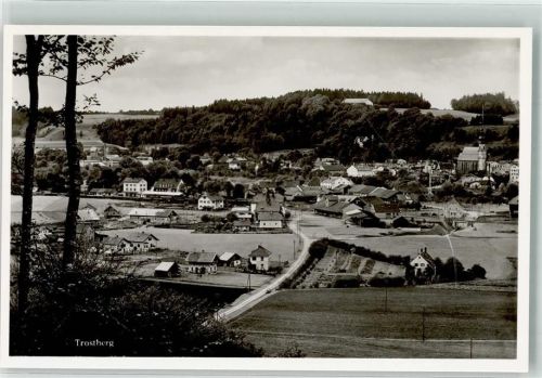 Trostberg Vogelschau
