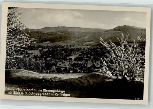 Oberschreiberhau Foto AK Staudte Postkarte