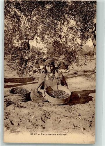 Tunis Tracht Olovenernte