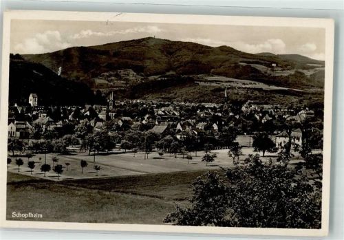 Schopfheim Vogelschau