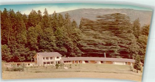 Zwiesel Foto Original aus Archiv eines Ansichtskartenverlags Ort handschriftlich Scan verzogen