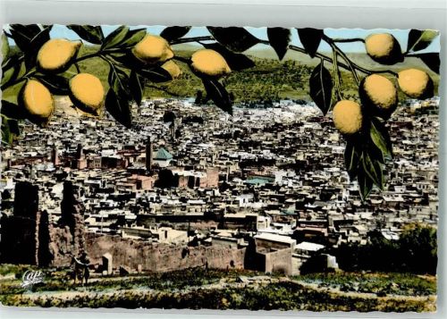 Fes 1964