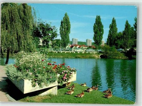 Sindelfingen Klostersee Enten Blumen Auto Hochhäuser