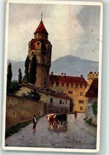 Hall 1913 Münzturm Verlag des Vereines Südmark Karte Nr. 208