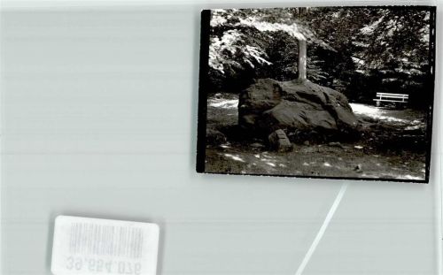 Diestelbruch Felsen Bank Ort handschriftlich Foto Original aus Archiv eines Ansichtskartenverlags