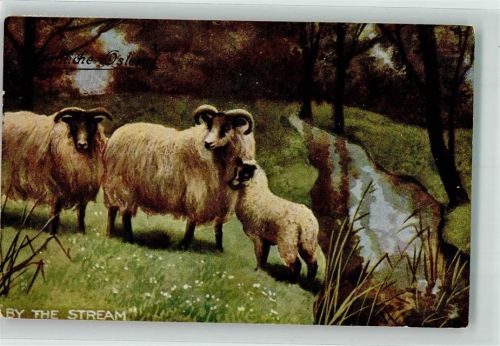1911 Ostern Zwei Widder mit Lamm an einem Bachlauf H & S.B. Serie 542 Maschinenstempel