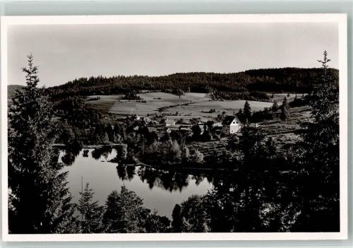 Wittenschwand Klostersee