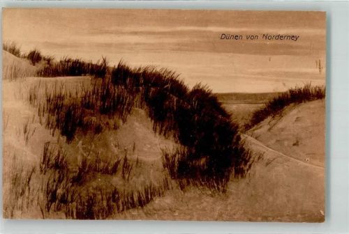 Norderney Dünen