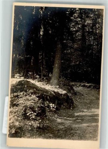 Muggendorf Fänkische schweiz Druidenhain