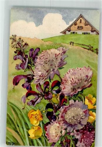 Wiesensalbei sign. Zürcher J. Serie VI Nr.615