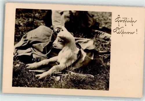 1941 Im Rucksack Ostern
