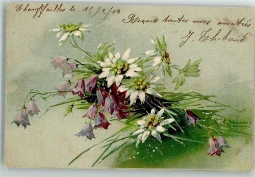 1903 Alpenglöckchen Künstlerkarte PFB Serie 2102
