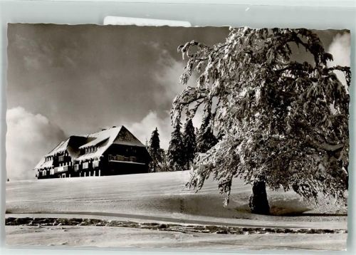 Münstertal Verschneiter Baum vor dem Hotel Burggraf