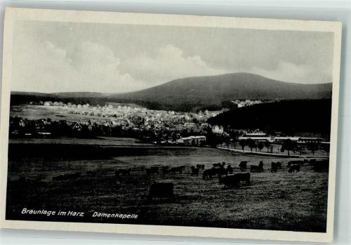 Braunlage Damenkapelle Kühe