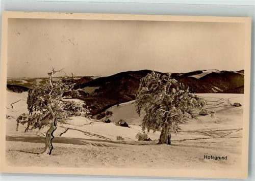 Hofsgrund 1925 Fotograf Denzer