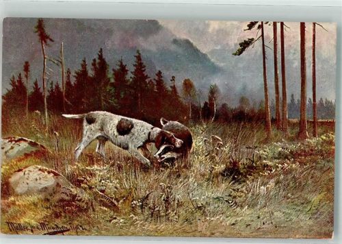 Pinter Dachs sign. Müller jun. Haar und Federwild II Serie 1041 Nr.6