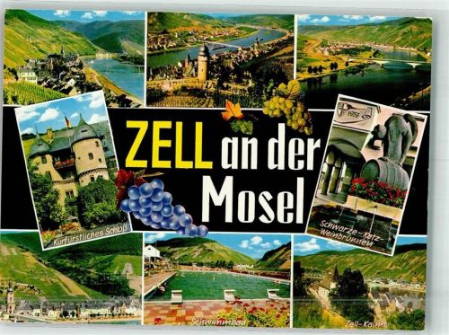 Zell Kurfürstliches Schloss Schwarze Katz Weinbrunnen Schwimmbad