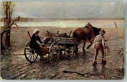 Tiergespann mit einem Sarg Bauern sign. Schikaneder : der letzte Weg