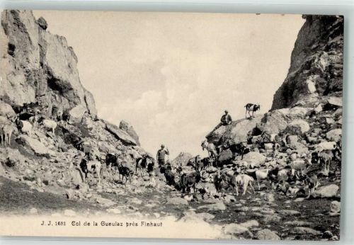 Ziegen Col de la Gueulaz pres Finhaut J.J. Nr.1681