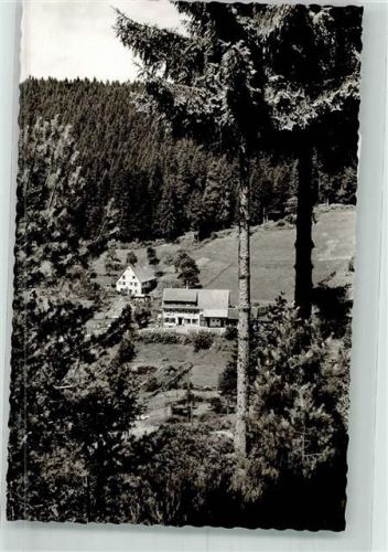 Schorrental Gasthaus Pension Forelle