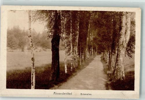Bad Alexandersbad Birkenallee