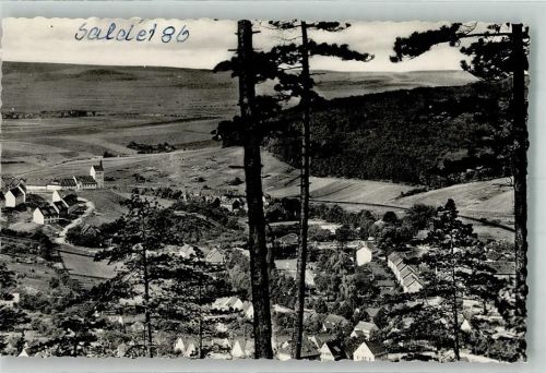31162 W3202 Bad Salzdetfurth Foto AK Unterhalb des Sothenberges