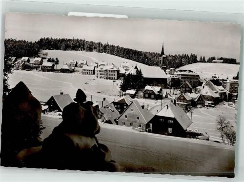 Schönwald Winter
