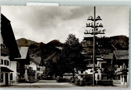 Grassau Maibaum