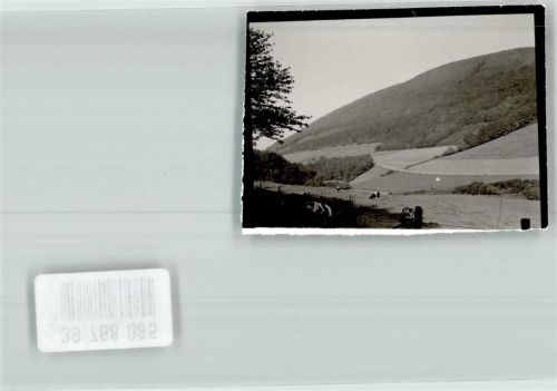 Beringhausen Foto Original aus Archiv eines Ansichtskartenverlags Ort handschriftlich