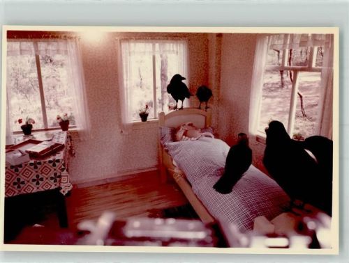 Ibbenbüren Märchenwald Die sieben Raben Foto Original aus Archiv eines Ansichtskartenverlags Ort handschriftlich