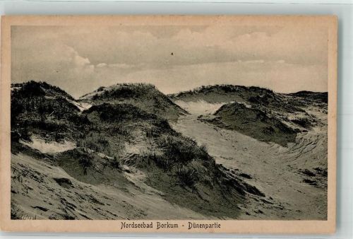 Borkum 1932 Dünen an der Nordsee Verlag Paul Scharphuis