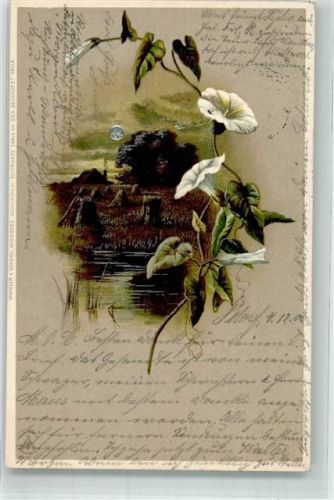 1900 Mondschein Serie XV Blumen Feld