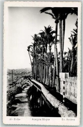 Elche 1953 Acequia Mayor
