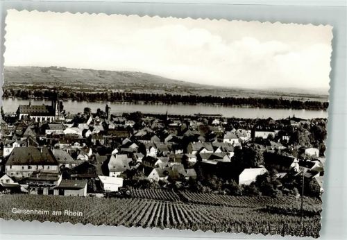 Geisenheim mit Rheingauer Dom