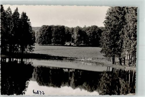 Eschershausen Teich zwischen Weiden und Tannen Foto Original aus Archiv eines Ansichtskartenverlags Ort handschriftlich
