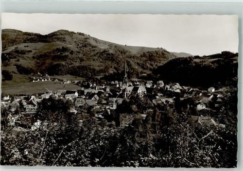 Schönau mit Kirche Mariä Himmelfahrt
