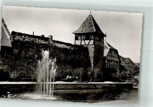 Michelstadt Stadtgarten mit Stadtmauer