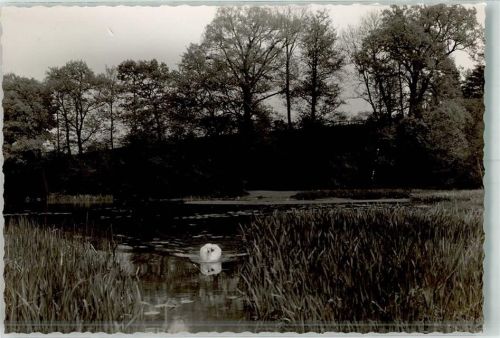 Mettmann Schwan im Goldbergteich Foto Original aus Archiv eines Ansichtskartenverlags Ort handschriftlich